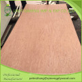 Professional Bintangor Door Skin Plywood Manufacturer From Linyi